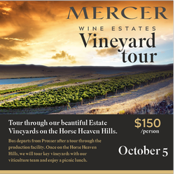 Vineyard Tour
